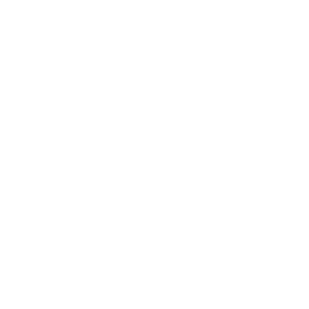 初韵白茶logo